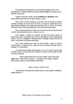 Referāts 'Putnu spalvas un to nozīme', 6.