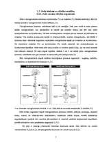 Referāts 'Joda deficīts reproduktīvā vecuma sievietēm', 3.