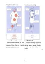 Referāts 'Joda deficīts reproduktīvā vecuma sievietēm', 4.
