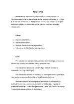 Referāts 'Renesanse un humānisms', 2.