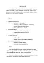 Referāts 'Renesanse un humānisms', 6.