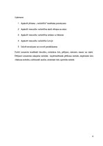 Referāts 'Vardarbība Latvijas skolās', 4.