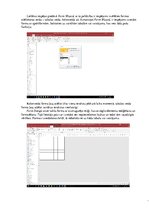 Referāts 'Datu bāzes vadības sistēmas - formas', 11.