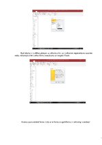 Referāts 'Datu bāzes vadības sistēmas - formas', 16.
