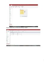 Referāts 'Datu bāzes vadības sistēmas - formas', 19.