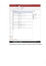 Referāts 'Datu bāzes vadības sistēmas - formas', 25.