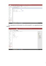 Referāts 'Datu bāzes vadības sistēmas - formas', 29.