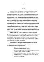 Referāts 'Nodokļi - budžeta ieņēmumu avots', 3.