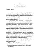 Referāts 'Nodokļi - budžeta ieņēmumu avots', 5.