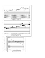Referāts 'Pārtikas groza problēma. Valūtas kursa prognozēšana', 46.