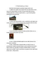 Prezentācija 'Vilkači', 15.