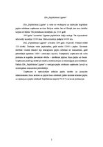 Referāts 'Otrreizējā papīra pārstrāde Latvijā', 5.