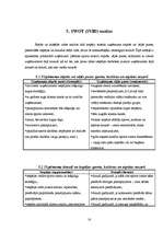 Referāts 'Izklaides nozares apraksts', 16.