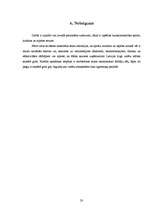 Referāts 'Izklaides nozares apraksts', 18.