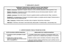 Prakses atskaite 'Medikamentozais aprūpes plāns', 2.