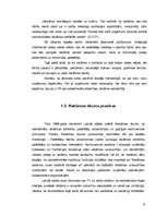 Referāts 'Reklāmas plānošana uzņēmumā', 9.