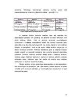 Referāts 'Reklāmas plānošana uzņēmumā', 13.