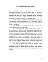 Referāts 'Reklāmas plānošana uzņēmumā', 17.