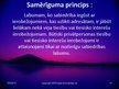 Prezentācija 'Administratīvā procesa principi', 14.