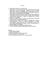 Paraugs 'Prasības pieteikums tiesai  par laulāto kopīgās mantas sadali', 3.