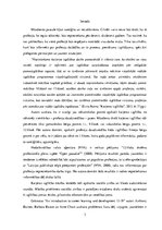 Referāts 'Karjeras izglītības aktualizēšana sociālo zinību stundās 6.klasē', 3.