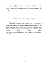 Referāts 'Karjeras izglītības aktualizēšana sociālo zinību stundās 6.klasē', 11.