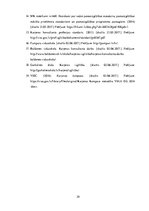 Referāts 'Karjeras izglītības aktualizēšana sociālo zinību stundās 6.klasē', 29.