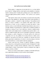 Eseja 'Kas ir politika un kas ir politikas zinātne?', 1.