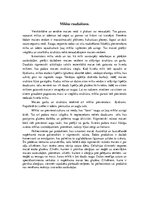 Referāts 'Maizes vēsture', 5.