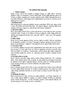 Referāts 'Maizes vēsture', 6.