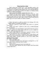 Referāts 'Maizes vēsture', 7.