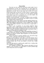 Referāts 'Maizes vēsture', 8.