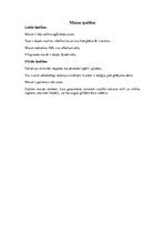 Referāts 'Maizes vēsture', 9.