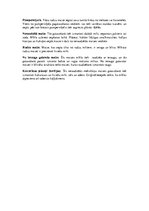 Referāts 'Maizes vēsture', 11.