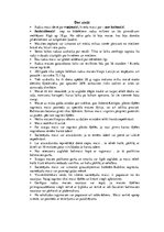 Referāts 'Maizes vēsture', 14.