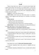 Referāts 'Tiesību rašanās teorijas', 3.