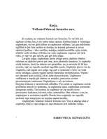 Eseja 'Veiksmei biznesā formulu nav', 1.