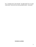 Referāts 'Kultūras vēsture', 10.