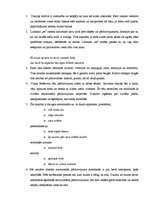 Konspekts 'Vizmas Belševicas dzejoļa analīze', 2.