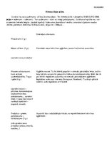 Konspekts 'Biznesa plāna paraugs', 1.