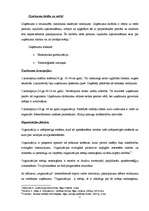 Konspekts 'Organizācija un vadīšanas teorija. Organizācijas jēdziens', 2.