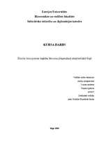 Referāts 'Zīmola loma preces iegādes lēmuma pieņemšanā starptautiskajā tirgū', 1.