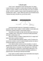 Referāts 'Zīmola loma preces iegādes lēmuma pieņemšanā starptautiskajā tirgū', 15.