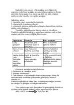 Referāts 'Ogļhidrāti', 2.