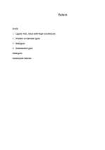 Referāts 'Līgumu veidi romiešu tiesībās', 19.