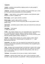 Konspekts 'Kultūras vēsture', 11.