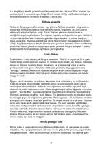 Konspekts 'Kultūras vēsture', 19.