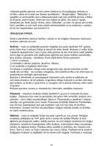 Konspekts 'Kultūras vēsture', 42.