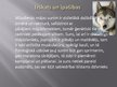 Prezentācija 'Suņi', 5.
