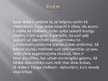 Prezentācija 'Suņi', 6.